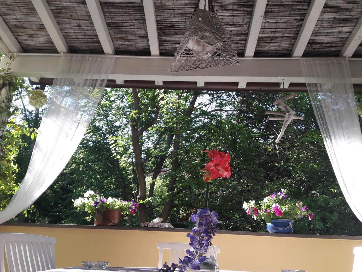 Stella Del Mar Bed & Breakfast Bologna Luaran gambar