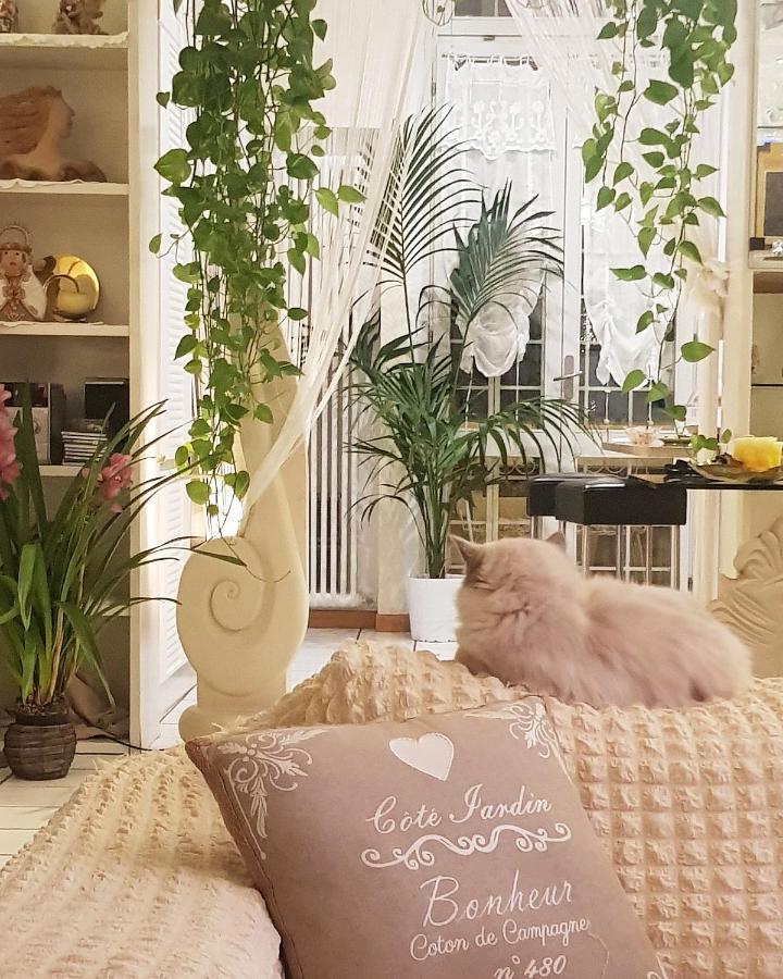 Stella Del Mar Bed & Breakfast Bologna Luaran gambar